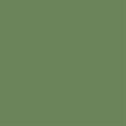 Plech pozinkovaný trávově zelený 0,55x625 mm RAL 6011 s folií